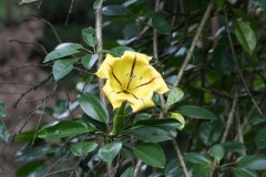 IMG_7367