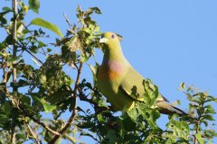 IMG_7490