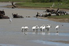 IMG_7561