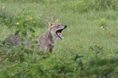 IMG_7569