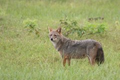 IMG_7677