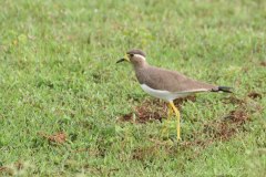 IMG_7698