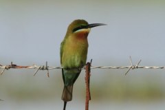 IMG_7740