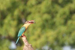 IMG_7751