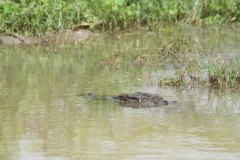 IMG_7830