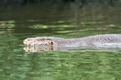 IMG_7944