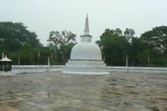 P1010745