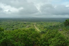 P1010884