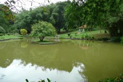 P1010938