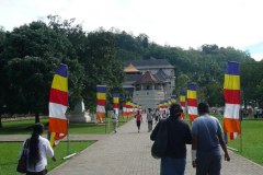 P1010972