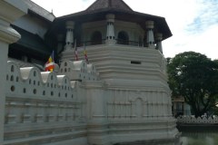 P1010974