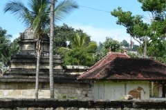 P1020010