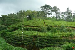 P1020030