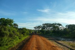 P1020100