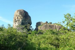 P1020103
