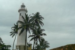 P1020194