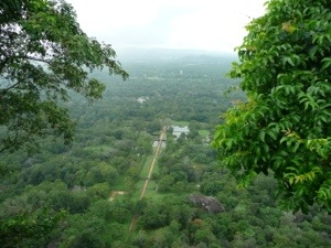 20121221-225312.jpg