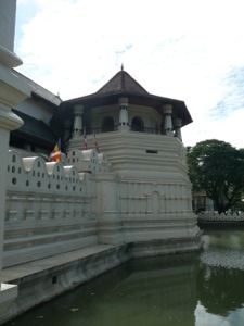 Dag 9: Kandy, een dagje cultuur