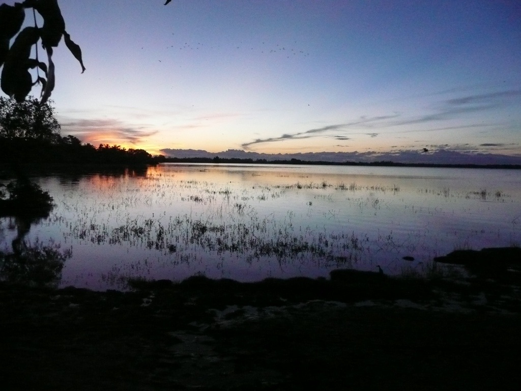 20130101-141356.jpg
